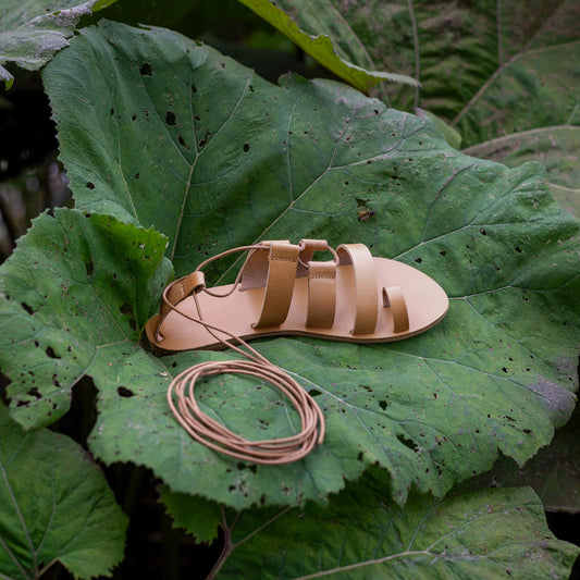 Athanasia flat sandals strappy in tan placed on a giant green leaf. They are flat sandals lace up.
