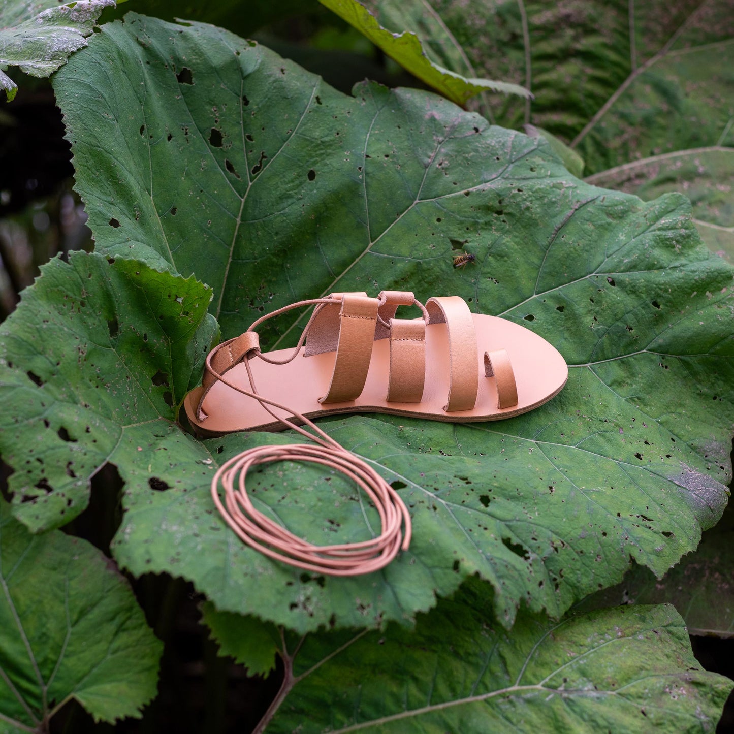 Athanasia flat sandals strappy in tan placed on a giant green leaf. They are flat sandals lace up.