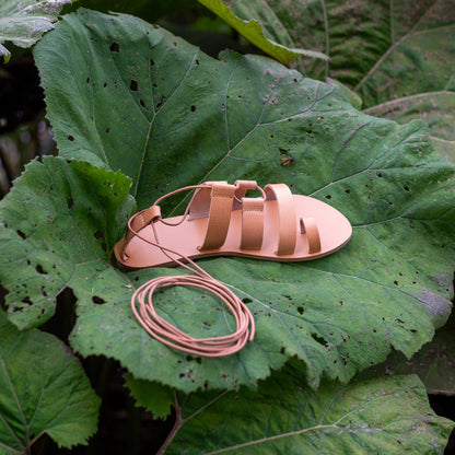 Athanasia flat sandals strappy in tan placed on a giant green leaf. They are flat sandals lace up.