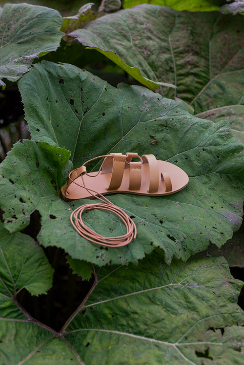 ĀRA Athanasia Strappy Leather Sandals in Tan on a large Tree Leaf